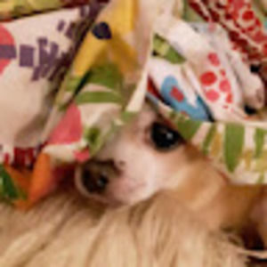 Meet your Posher, Jackie